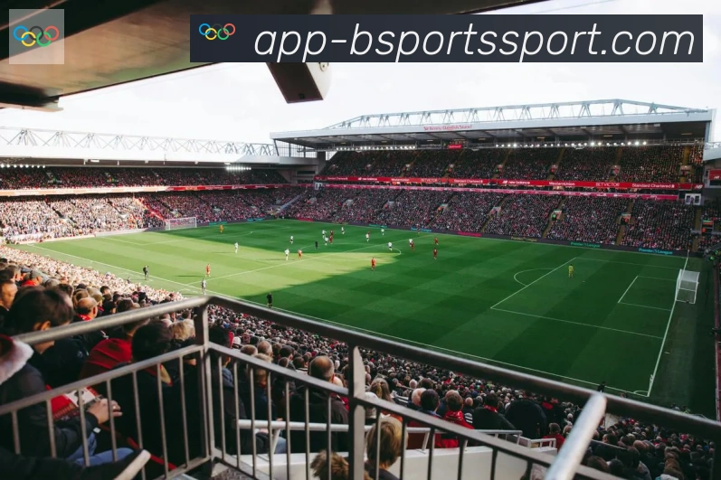 App Interface Preview